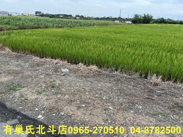 埔鹽農地-7
