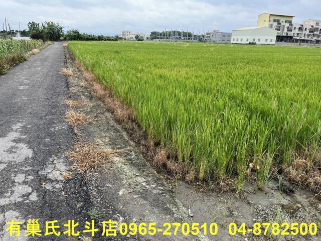 埔鹽農地-8
