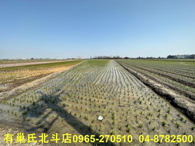 彰化農地-5