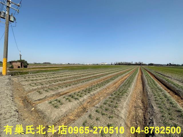 彰化農地-6