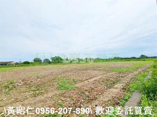 台南新市農地-1