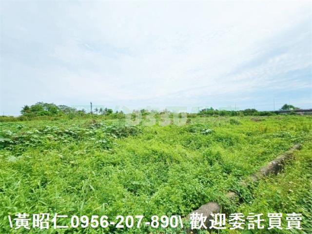 台南新市農地-5