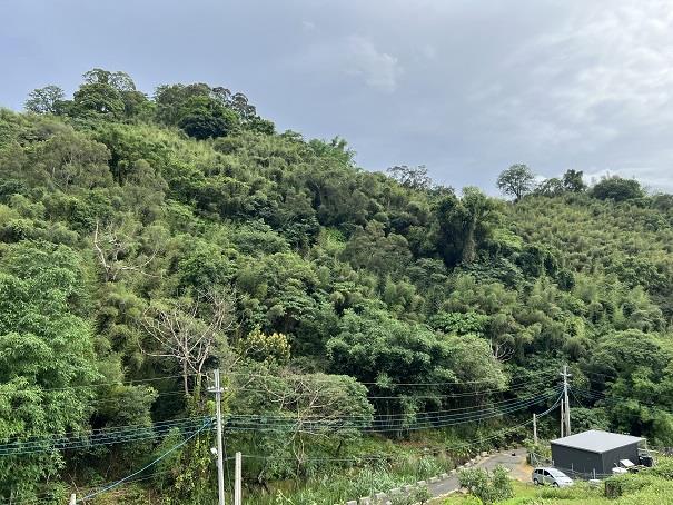 東勢農地-1