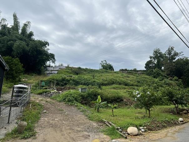 東勢農地-3