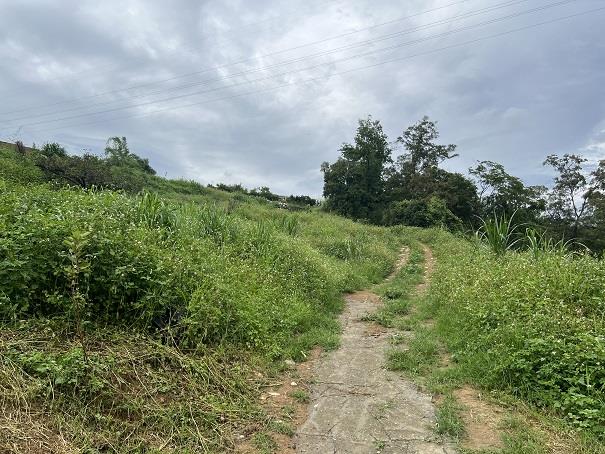 東勢農地-4