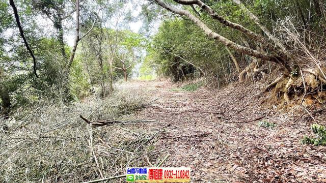 新竹農地-13