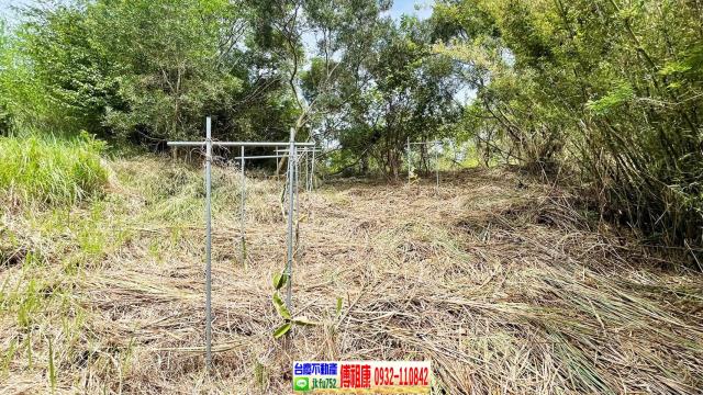 新竹農地-14