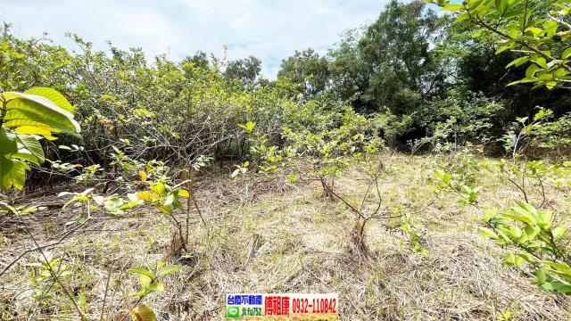 新竹農地-5