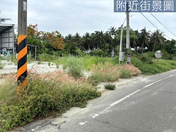 台南農地-8