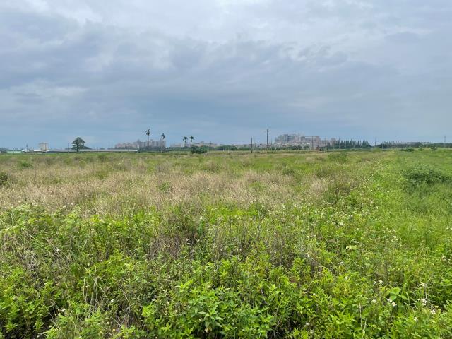 嘉義朴子農地-4