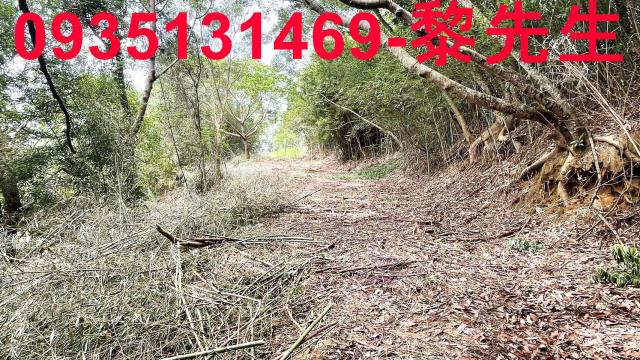 香山農地-10