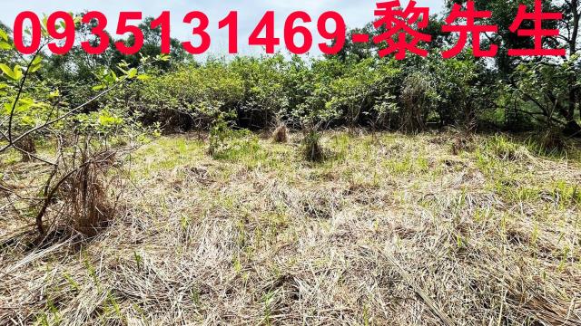 香山農地-4