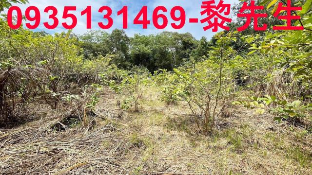 香山農地-5