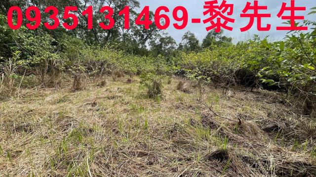 香山農地-6