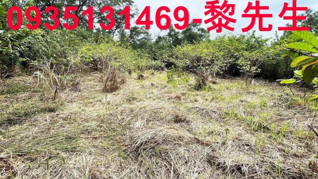 香山農地-10