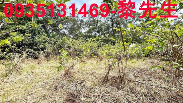 香山農地-11