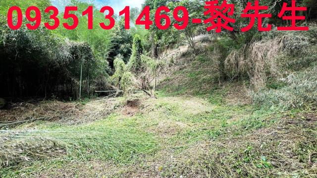 香山農地-15
