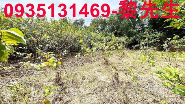 香山農地-7