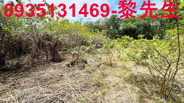 香山農地-8