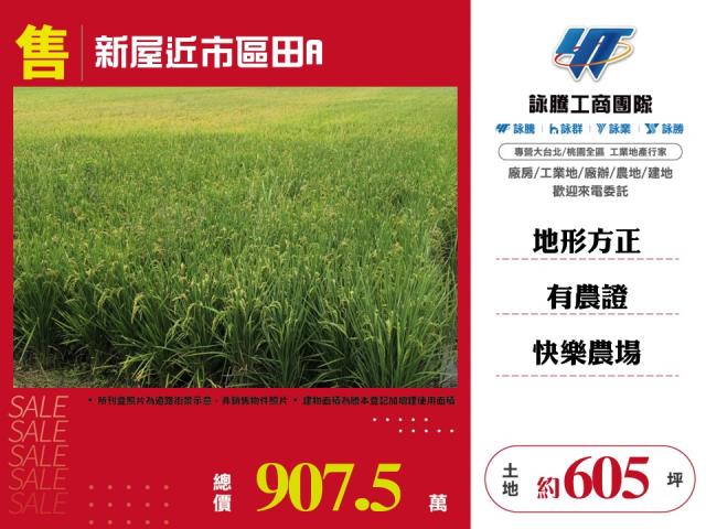 桃園農地-1