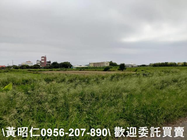 台南七股農地-5