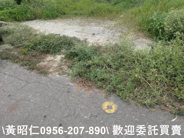 台南七股農地-7
