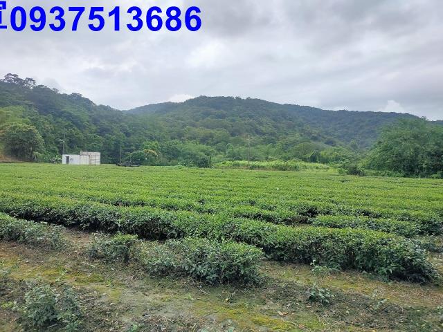 宜蘭冬山農地-13