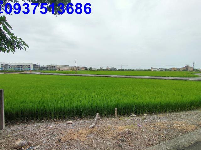 宜蘭冬山農地-3