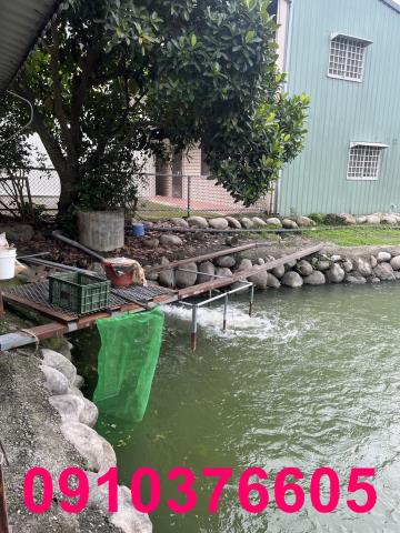台中農地-7