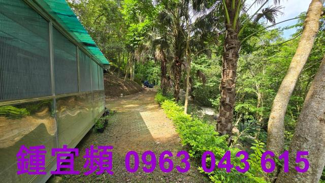新竹北埔山坡地-13