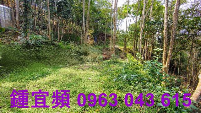 新竹北埔山坡地-15