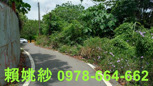 彰化社頭農地-3