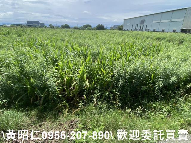 安定農地-3