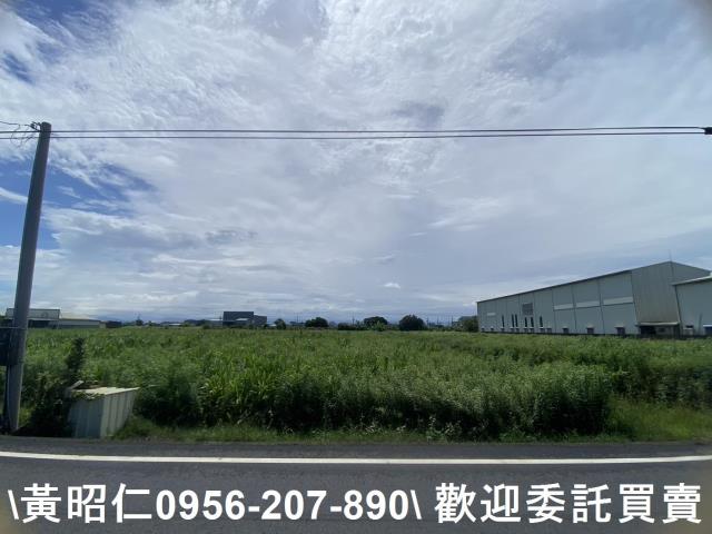 安定農地-1
