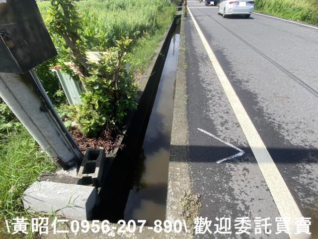 安定農地-7
