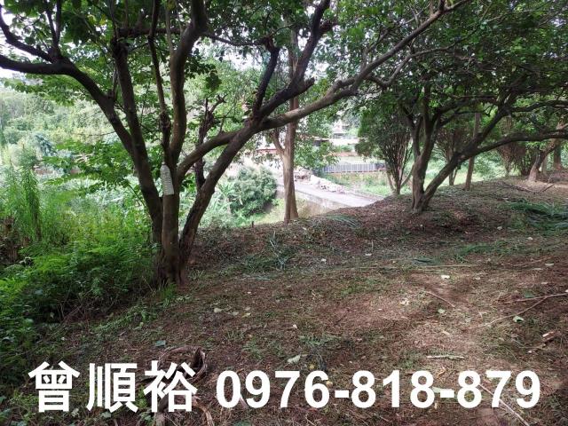新竹橫山農地-8