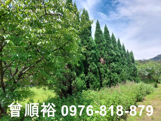 新竹橫山農地-2