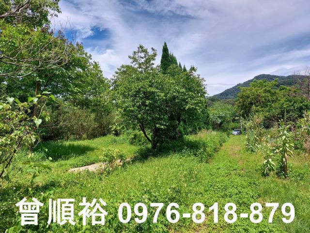 新竹橫山農地-3