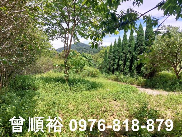 新竹橫山農地-5