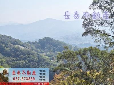 大湖農地-1