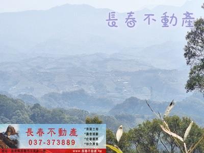 大湖農地-2