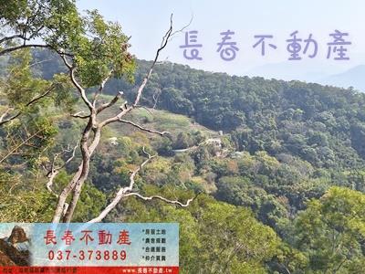 大湖農地-3