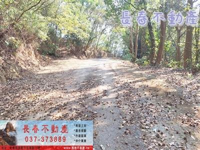 大湖農地-4