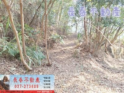 大湖農地-5
