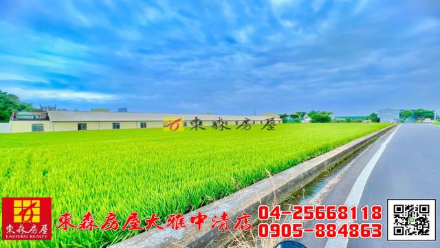 台中大雅農地-3