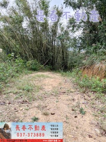 苗栗銅鑼農地-3