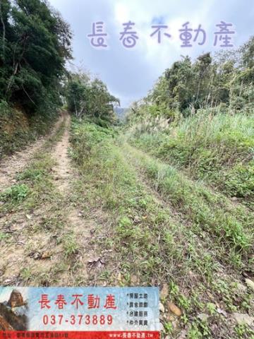 苗栗銅鑼農地-6