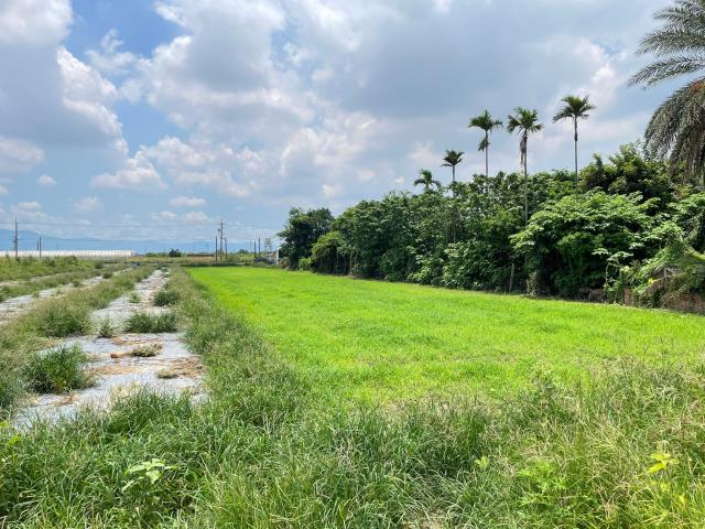 嘉義鹿草農地-3