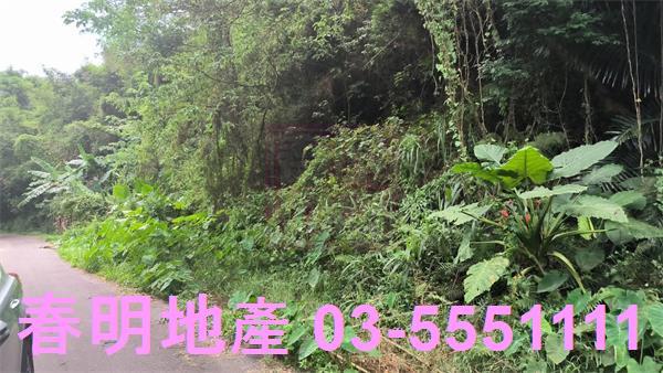 新竹竹東林地-7