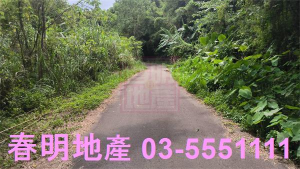 新竹竹東林地-8